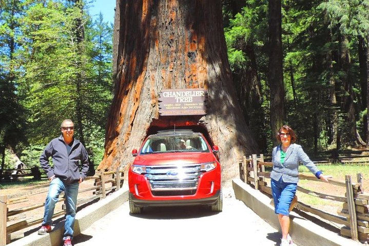 Redwood National Park Tour 2-Day Private Tour Package (Hotel Included) - Photo 1 of 25